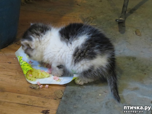 ���� 2: �����: ���� �� ������ ����������?