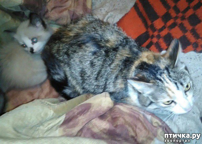 ���� 2: ��� �������� �� 5 ��������� ������!