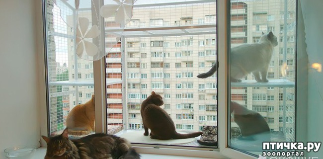 ���� 1: ������ ����� ����� ������ � ����?