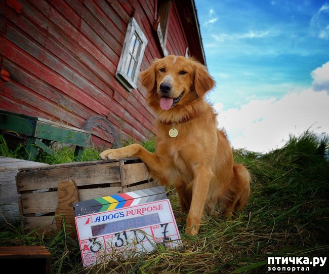 ���� 1: ������������ ������ � ����������� � ��������, ������� ����� ����������.