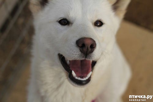 ���� 2: ������, �������� � ���������� ������� �����