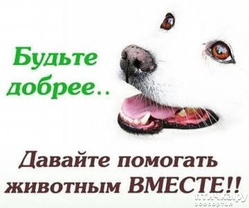 ���� 1: ������, �������� � ���������� ������� �����