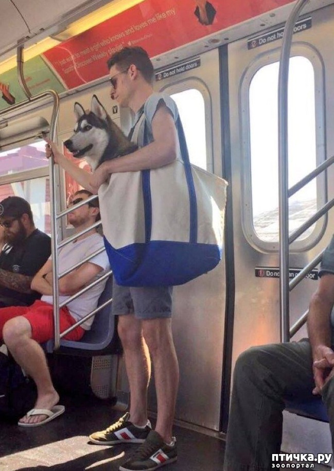 ���� 2: ��������� ����� ��� 