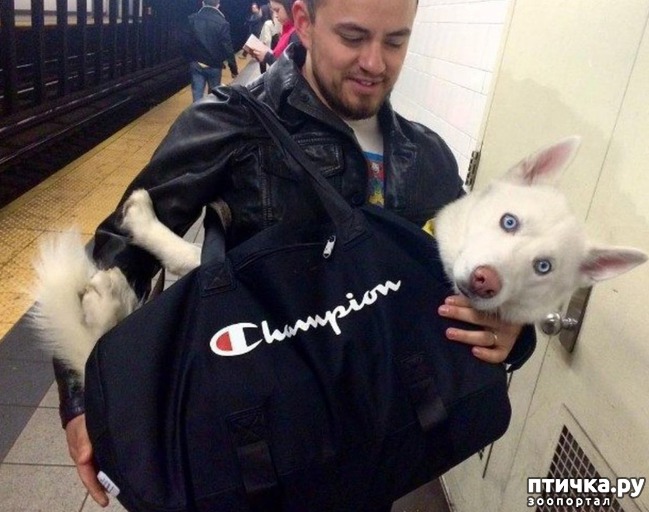 ���� 3: ��������� ����� ��� 