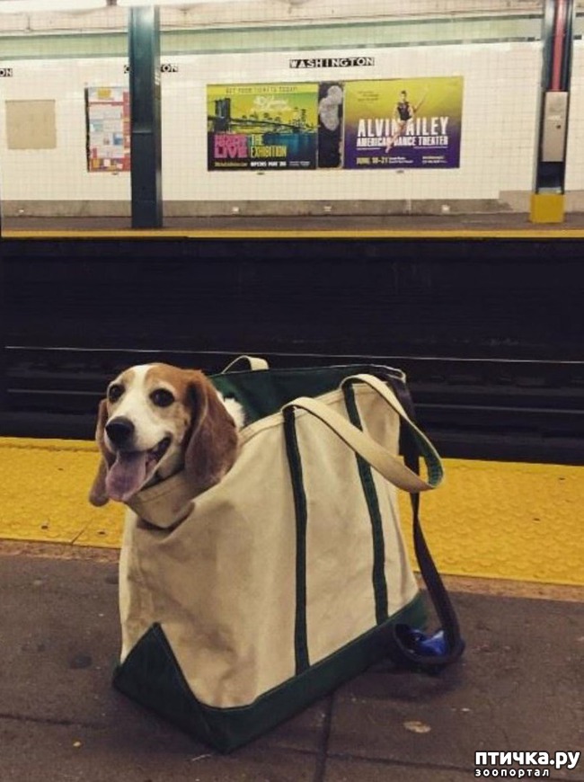 ���� 4: ��������� ����� ��� 