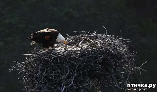 ���� 4: ���� - ������� ������ ����, ��� ����������� ����� �����