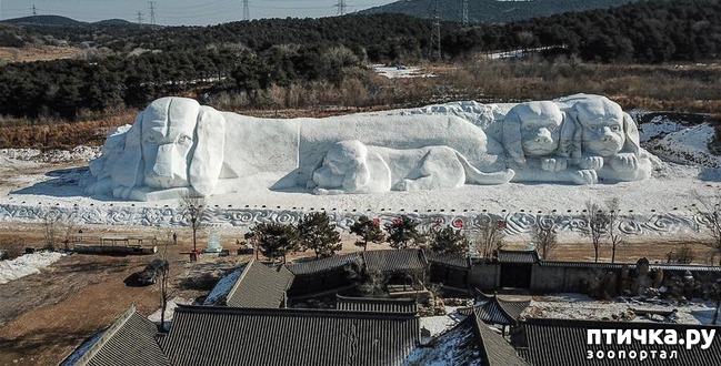 ���� 2: ������� ������