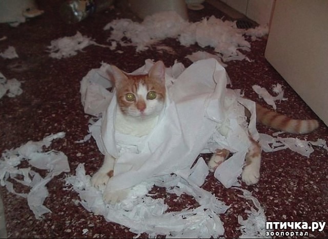 ���� 3: ��������:-������ ����, ����� �����...