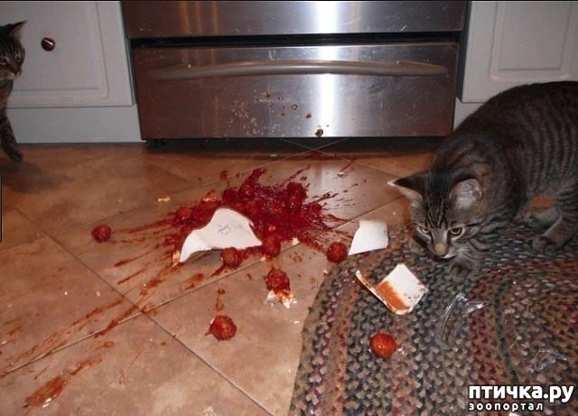 ���� 5: ��������:-������ ����, ����� �����...