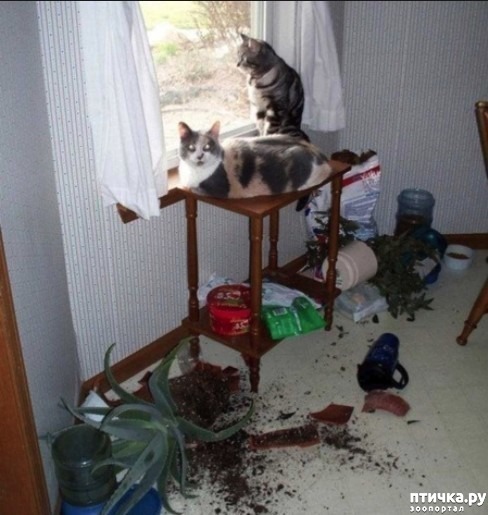 ���� 6: ��������:-������ ����, ����� �����...