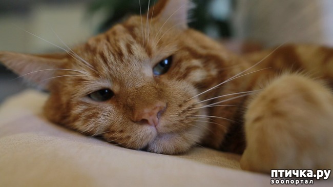 ���� 1: ���� �� � ����� ��� ���� �����!