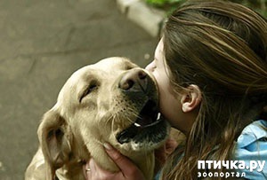 фотография: Уж он-то, точно, не обманет... фото: Уж он-то, точно, не обманет...