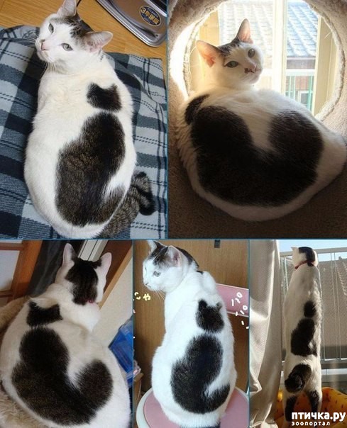 ���� 1: ���, � �������� �� ����� ���.