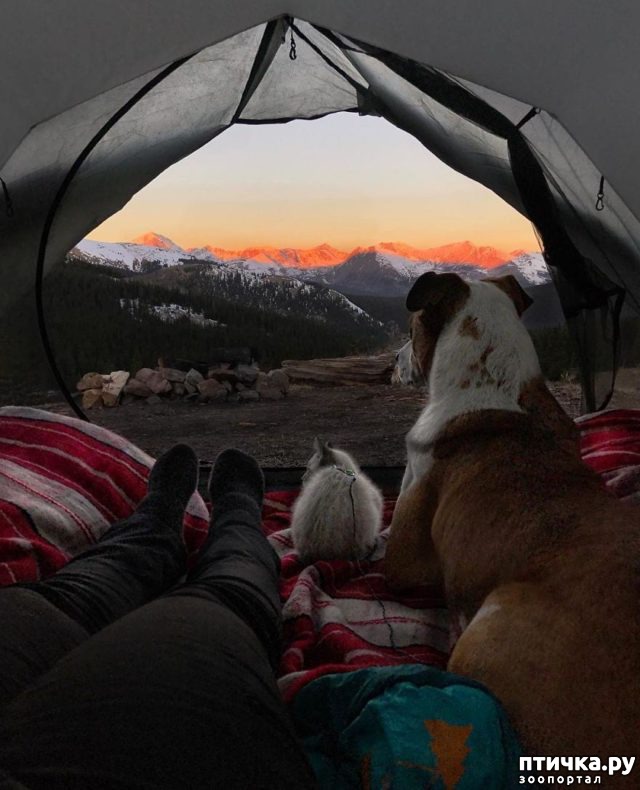 ���� 7: ����������� ���������������.