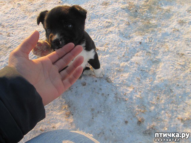 ���� 4: � ������ ������� ������ ���� ������ � ������� �� ������ ������