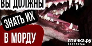 ����: ������� ����� ����� �������� � ��������!