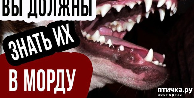  1:      !