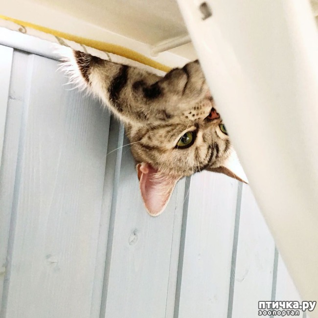 ���� 1: �������� ������)))