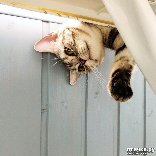 ���� 2: �������� ������)))