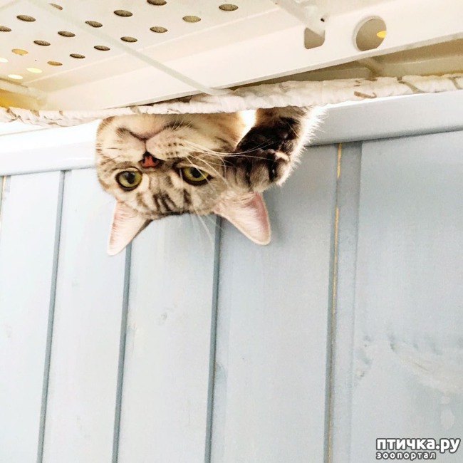 ���� 3: �������� ������)))