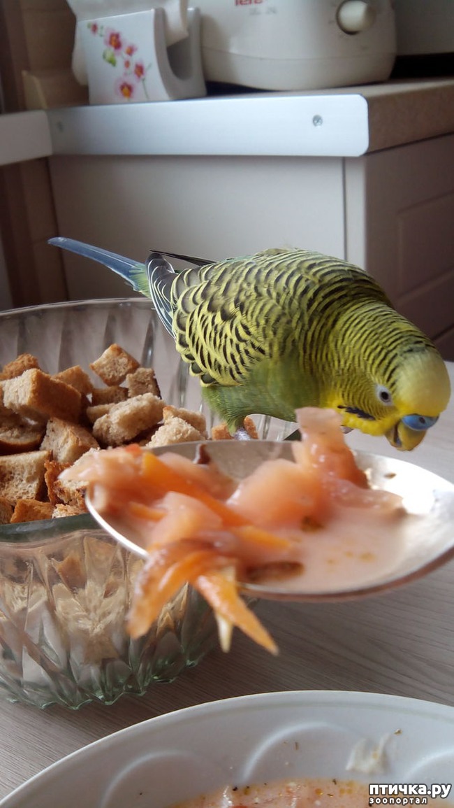 ���� 2: ����� ���� ��� ����?