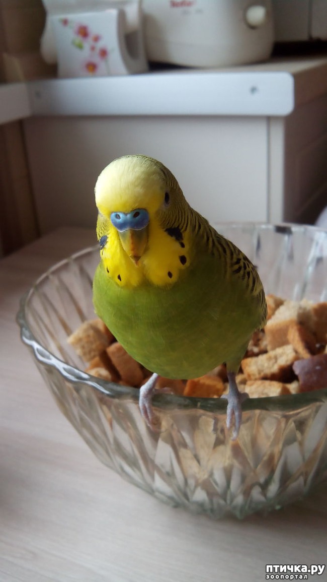 ���� 3: ����� ���� ��� ����?