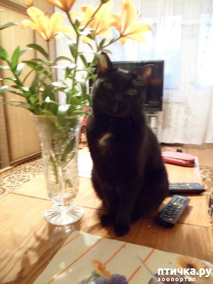 ����: ���� �� ����� ��� ������ ������������