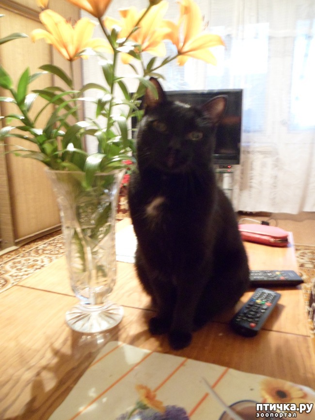 ���� 1: ���� �� ����� ��� ������ ������������