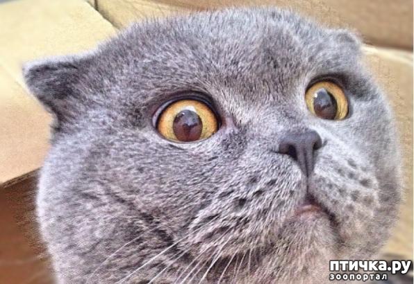 ���� 3: � ������������� ������� ������ ����, �������� � ��������� ���-�� ����� ������� � ���