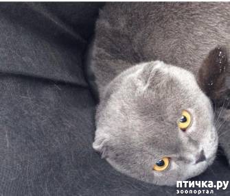 ���� 4: � ������������� ������� ������ ����, �������� � ��������� ���-�� ����� ������� � ���