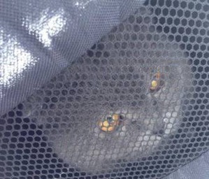 ����: � ������������� ������� ������ ����, �������� � ��������� ���-�� ����� ������� � ���