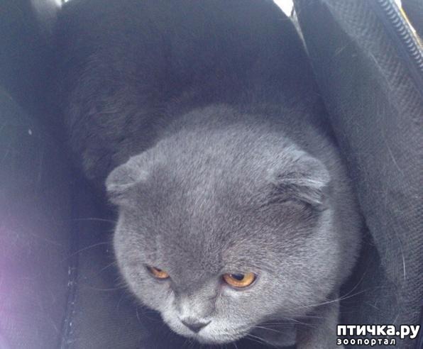 ���� 2: � ������������� ������� ������ ����, �������� � ��������� ���-�� ����� ������� � ���