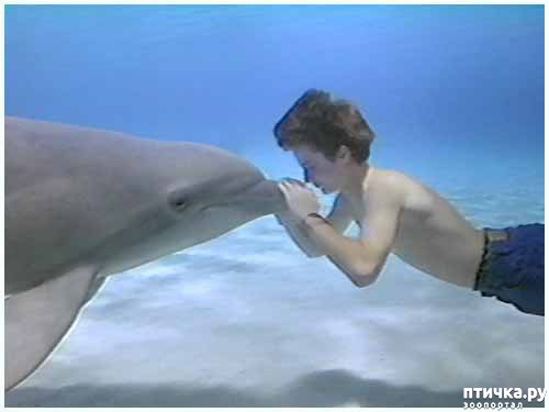 ���� 2: � �������� � ���������� ��������.