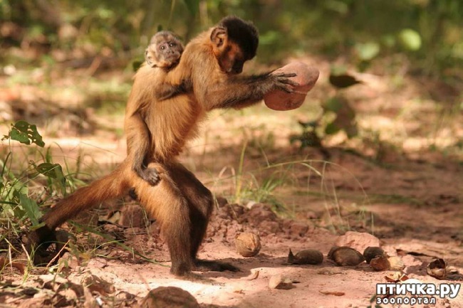 ���� 4: � �������� � ���������� ��������.