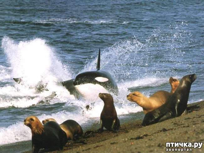 ���� 5: � �������� � ���������� ��������.