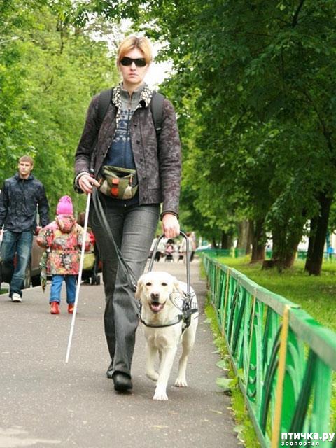 ���� 6: � �������� � ���������� ��������.