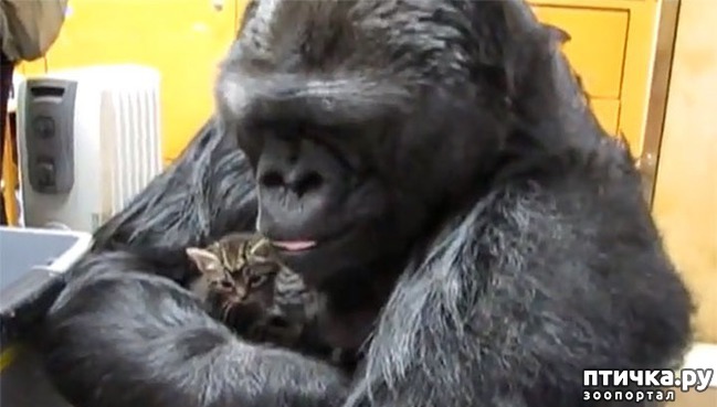 ���� 7: � �������� � ���������� ��������.