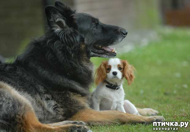 ���� 9: � �������� � ���������� ��������.