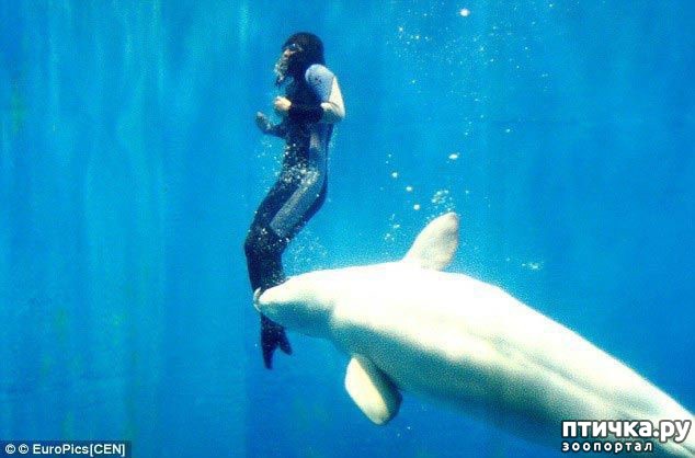 ���� 10: � �������� � ���������� ��������.