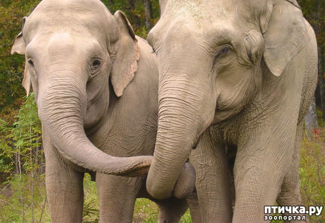 ���� 12: � �������� � ���������� ��������.