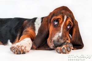 ����: ���� � ��������)))