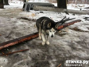 ����: ����� ����� �������, � �������� �� ���� ���� ����� ������...