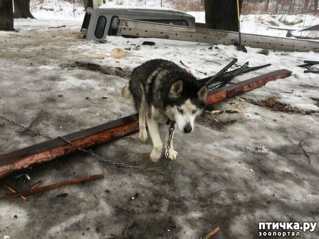 ���� 1: ����� ����� �������, � �������� �� ���� ���� ����� ������...