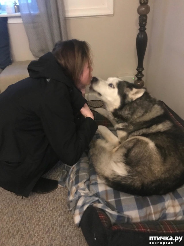 ���� 5: ����� ����� �������, � �������� �� ���� ���� ����� ������...