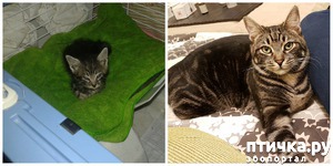 ����: �������� ��������