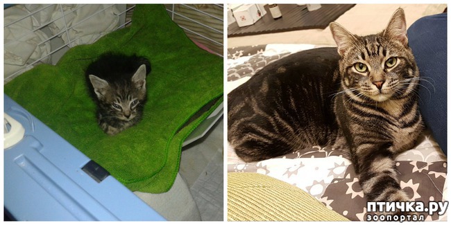 ���� 1: �������� ��������