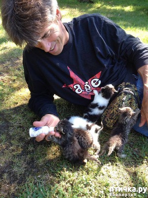 ����: ���������� ������� ����, �� 30 ����� ������ ��� �� ���������� ���������