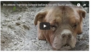 ����: ��������� ������ ���� �������!