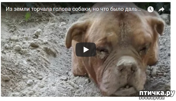 ���� 1: ��������� ������ ���� �������!