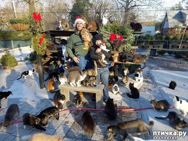 ���� 3: ���������� ������� ����, �� 30 ����� ������ ��� �� ���������� ���������